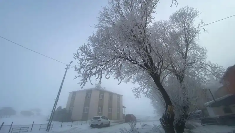 Soğuk Hava Rekoru: Göle Eksi 18 Dereceyi Gördü!