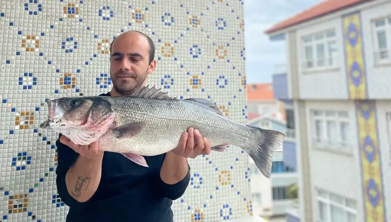 Dev Levrek Avı: 7.5 Kiloluk Sporcu, Balıkçıları Heyecanlandırdı