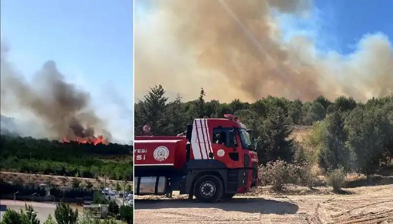 Gebze'de Orman Yangını: Doğa ve Hayat İçin Büyük Tehlike