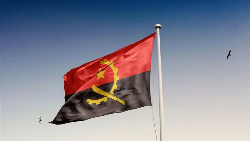 Siyasilerin Angola'yı Ziyaret Girişimi, Gözaltılarla Sonuçlandı