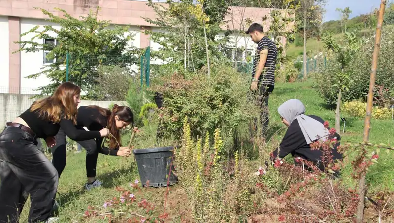 Düzce’nin Kökleriyle Dünyaya Açılan Hayali: Gerçekleştikleri Yolda İnanılmaz Başarılar