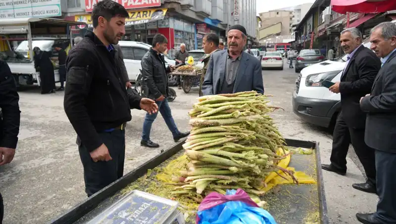 Şekerin Şaşırtıcı Faydaları: Kanser ve Mide Hastalıklarına İyi Geliyor!