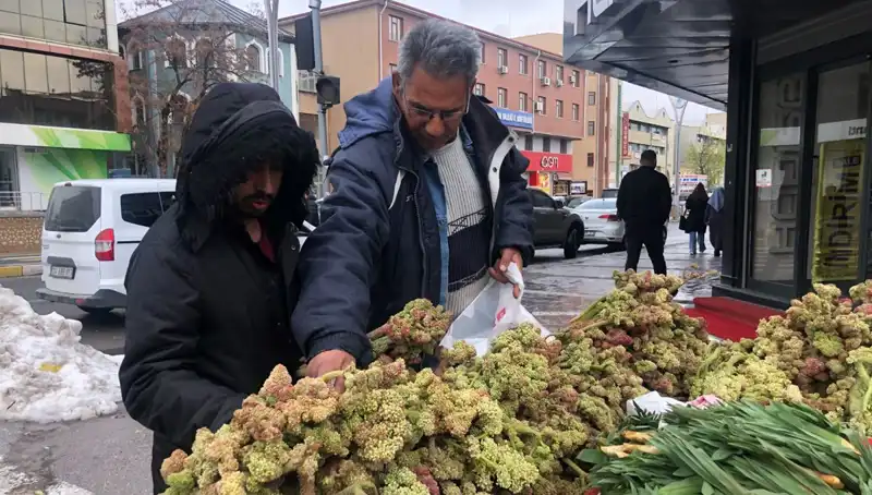 Kendiliğinden Yetişen Şifalı Bitki: Kanserle Savaşta Umut Işığı