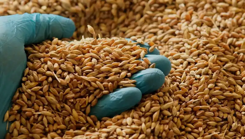 Kalp Hastalığı Riskini Azaltan Beslenme Alışkanlıkları Neler?