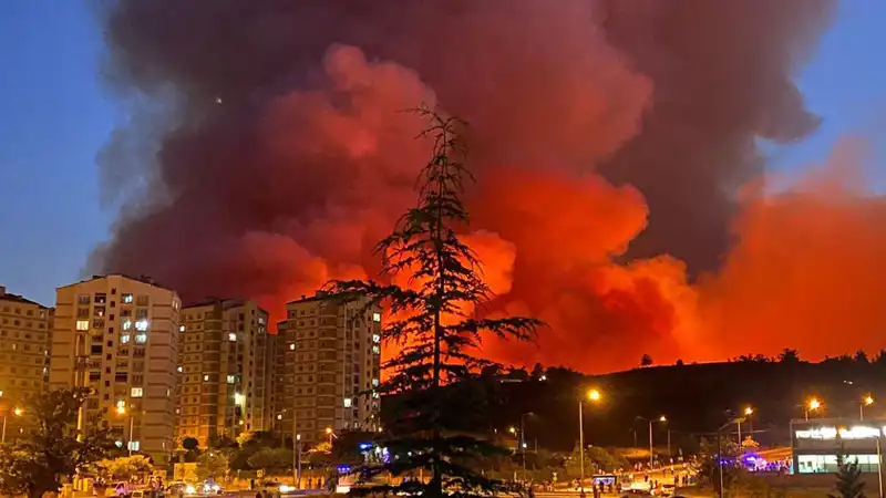 Bursa'daki Yangınlar: Şehri Kucaklayan Tehlike ve İnyeleriyle Mücadele