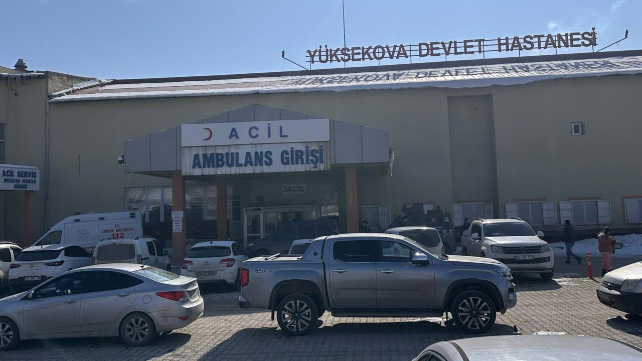 Hakkari'de Çocuğa Köpek Saldırısı: Hayatını Kaybetti