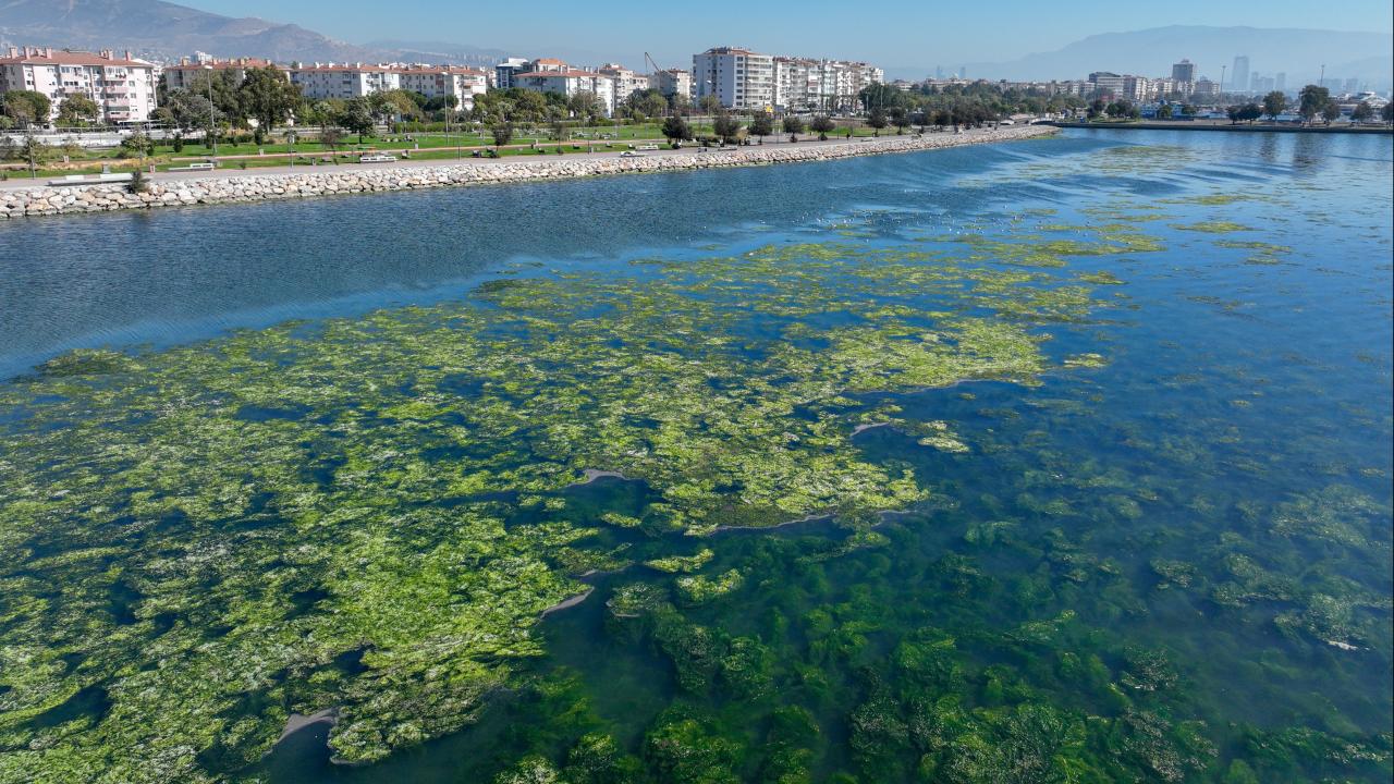 Bakanlıktan İzmir Körfezi'ne nefes aldıracak proje