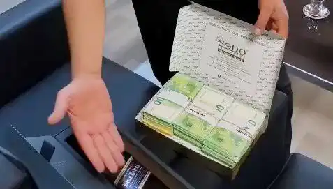 Manavgat Belediyesi'nde Şok Operasyon: Baklava Kutusunda Çıkan Avrolar!