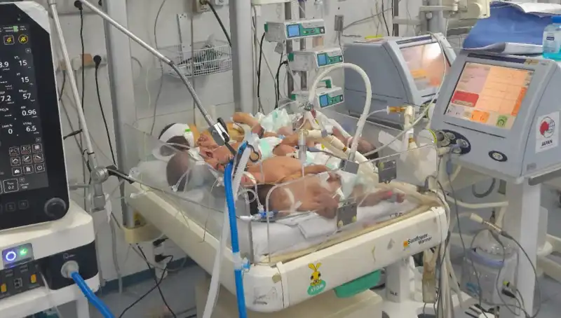 Gazzeli Doktorların Çağrısı: "Kuvözlerde Bebekler Arasında Yetersiz Bakım Riski"