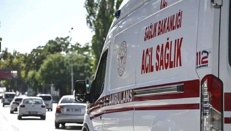 Böcek Panik Yaratınca Apartman Tahliye Edildi: Mangalda Pul Biberin Gizemi
