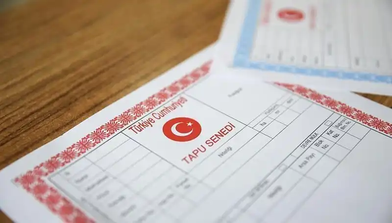 Hisseli Tapu Skandalı: 100 Milyonluk Dolandırıcılık Ağı Ortaya Çıktı