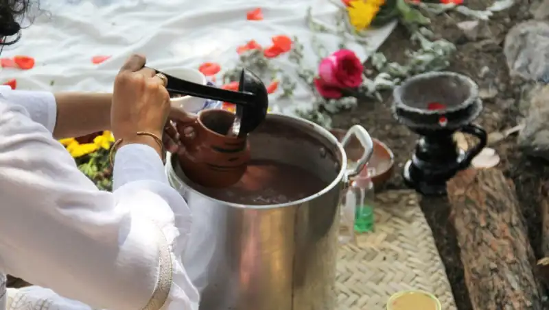 Ayahuasca Nedir? Yasak mı, Yoksa Şifa Kaynağı mı?