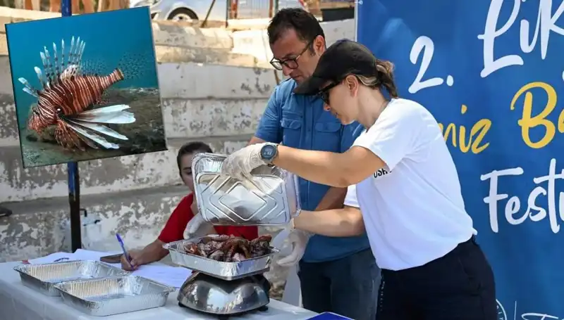 Antalya'da İstilacı Aslan Balığı Avlama Yarışması: Rekor Katılım ve Heyecan Dolu Anlar