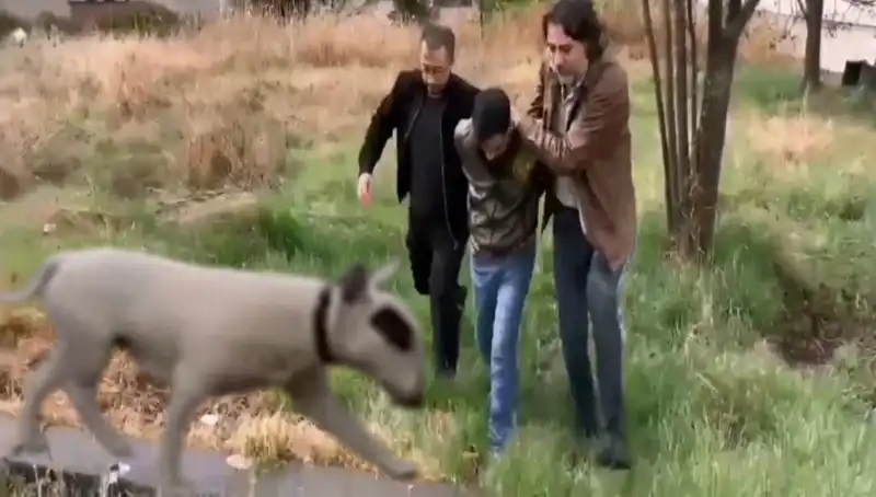 430 Bin Lira Değerindeki Şampiyon Köpeğin Hırsızı Tutuklandı!