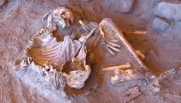 Yeni Mumya Keşfi İnsanlığın Soy Ağacını Yeniden Şekillendiriyor
