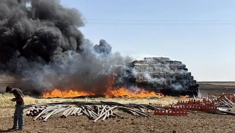 Mardin'de Korkutan Anız Yangını: Tarım Alanları Tehlikede!