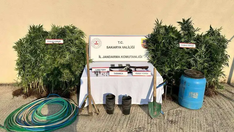 Sakarya’da Yapılan Uyuşturucu Operasyonunda Bir Kişi Tutuklandı