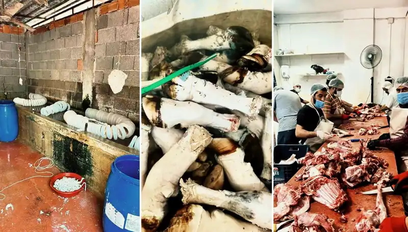 Adana’da Şok Eden Paça Baskını: Yüzlerce Kilo Ele Ge geçirildi