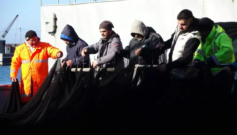 Hamsinin Sonu mu Geldi? Balıkçılar Denizlerde Umutsuz Kaldı