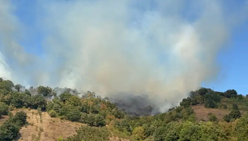 Düzce Ormanlarında Korkutan Yangın: Hava ve Kara Ekipleri Seferber Oldu