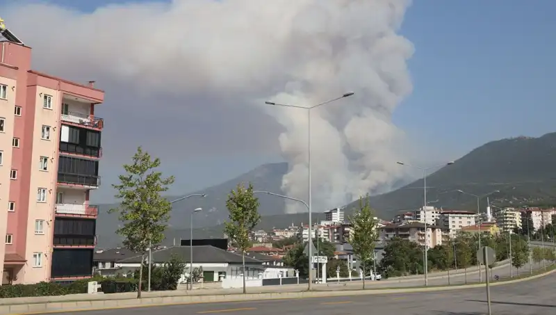 Denizli'de Orman Yangını: Şüpheli Gözaltında, Yangının Sebebi Ne?