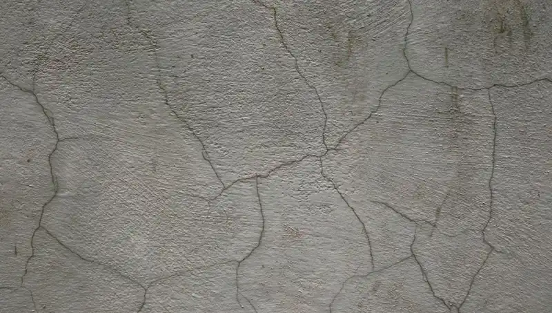 Yenilikçi Canlı Beton ile Yapılar Kendini Onarıyor