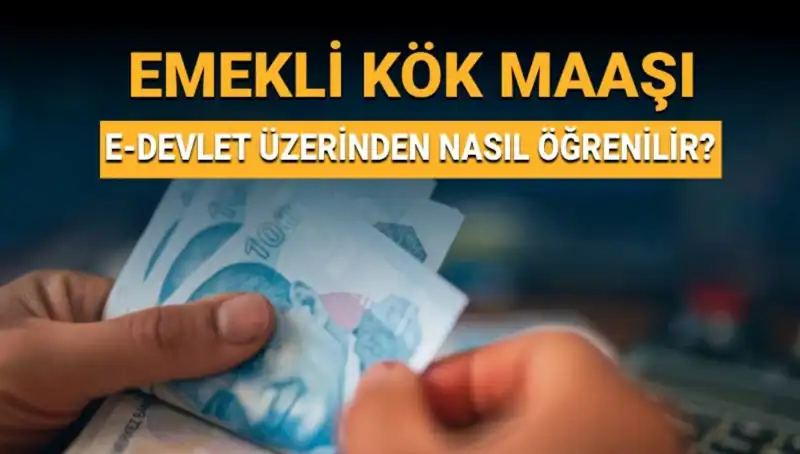 Kök Maaş Nedir? İşte Öğrenmenin Kolay Yolları