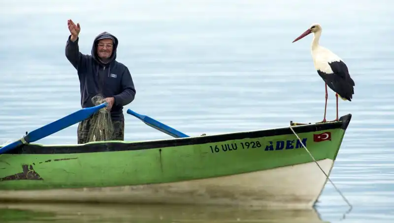 Yaren Leylek Geldi Mi? Göç İle İlgili Son Gelişmeler