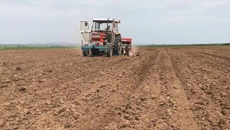 Son 35 Yılın En Kurak Mart Ayı: Yağış Miktarı Korkutucu Şekilde Düştü