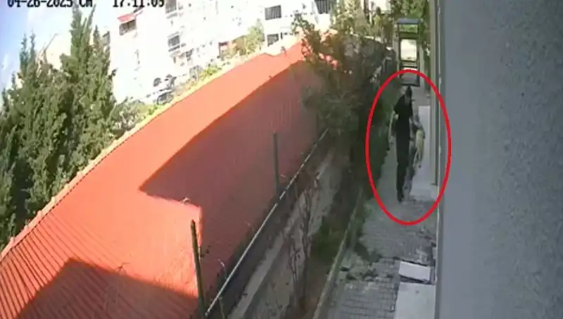 Veteriner Doktorun İnanılmaz Suçları: Sahiplendiği Köpekleri Öldürdü