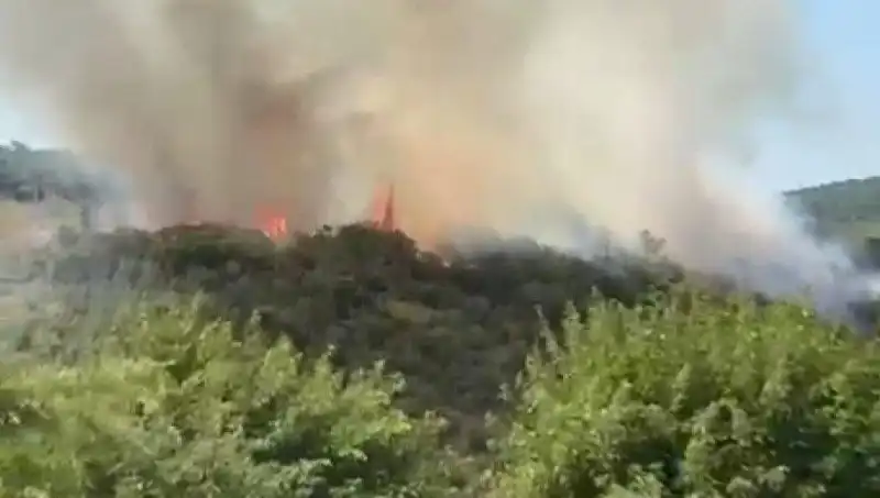 İstanbul'daki Orman Yangını: Vatandaşlar Acil Tahliye Edildi