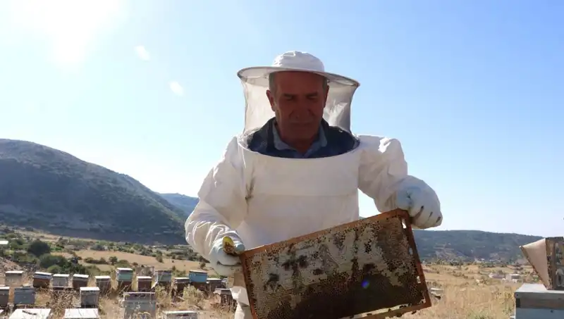 25 Yıl Önceki Hayalini Gerçekleştirdi: 2 Ton Üretim Başarısı