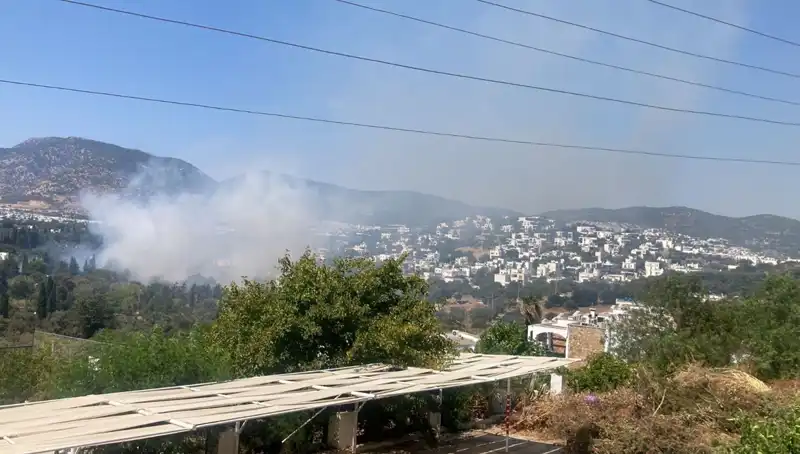 Muğla'daki Orman Yangınları Kontrol Altına Alındı, Ülke Rahat Bir Nefes Aldı