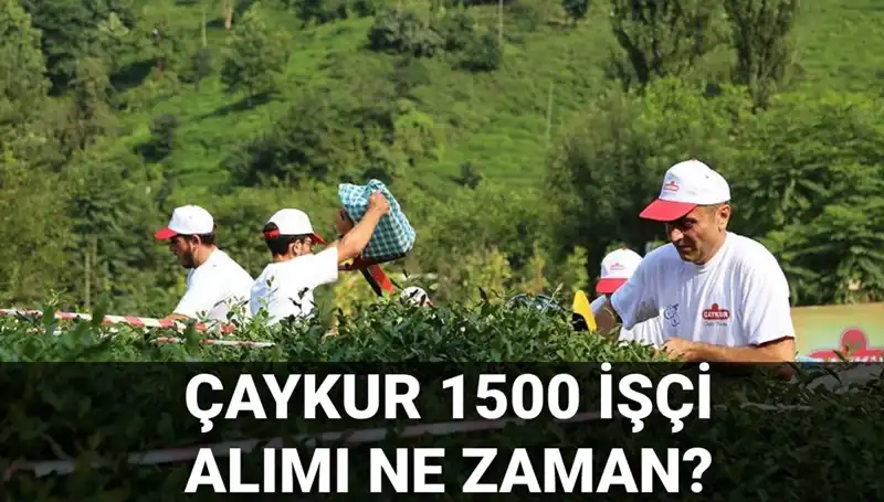 Çaykur İşçi Alımı için Başvuru Tarihleri Açıklandı: Detaylar Burada!