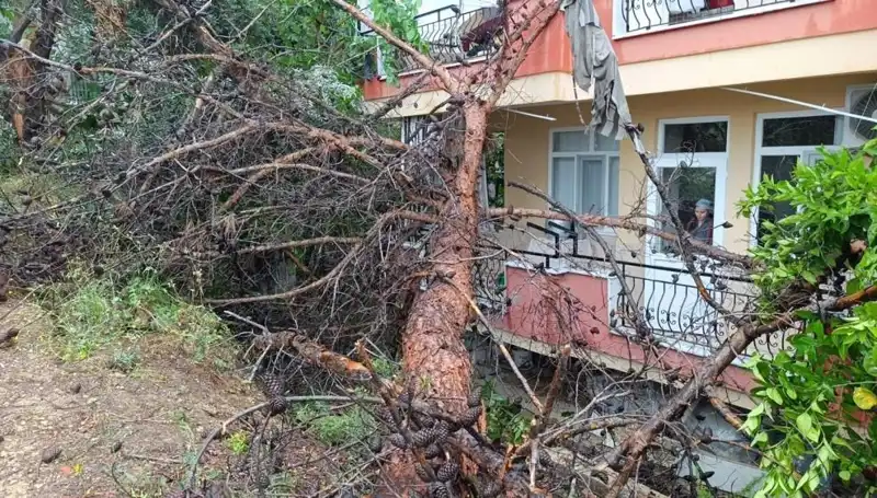 Yağmura Dayanamayan Bina, Şehrin Ortasında Devrildi!