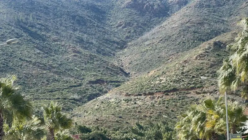 Marmaris Yangınından Sonra Doğanın Yeniden Doğuşu: Fidanlar Boy Verdi