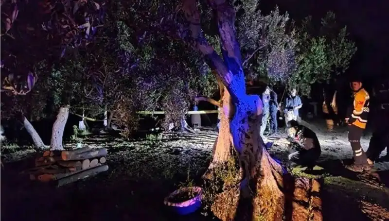 Çiftlikteki Baltalı Vahşet: Tutuklama Süreci ve Gelişmeler