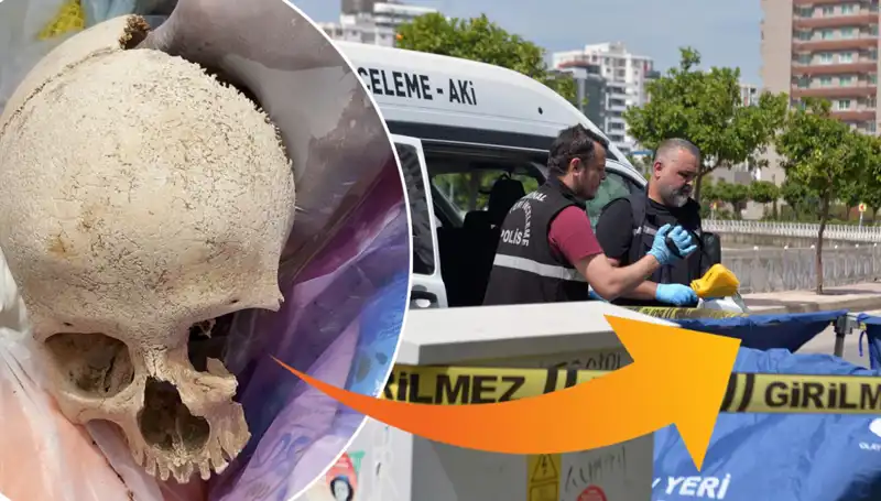Sitenin Çöpünden Kafatası Çıktı: Uzman Doktor Gözaltında!