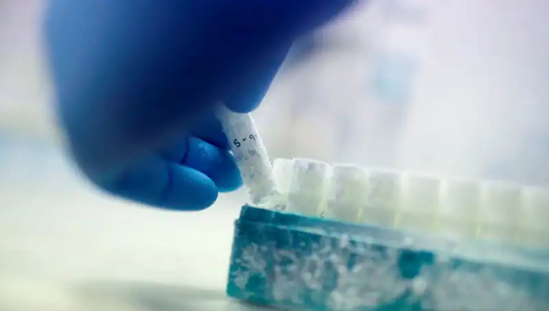 Tıbbi Felaket: 85 Sperm Donörü Binlerce Çocuğa Baba Olmuş