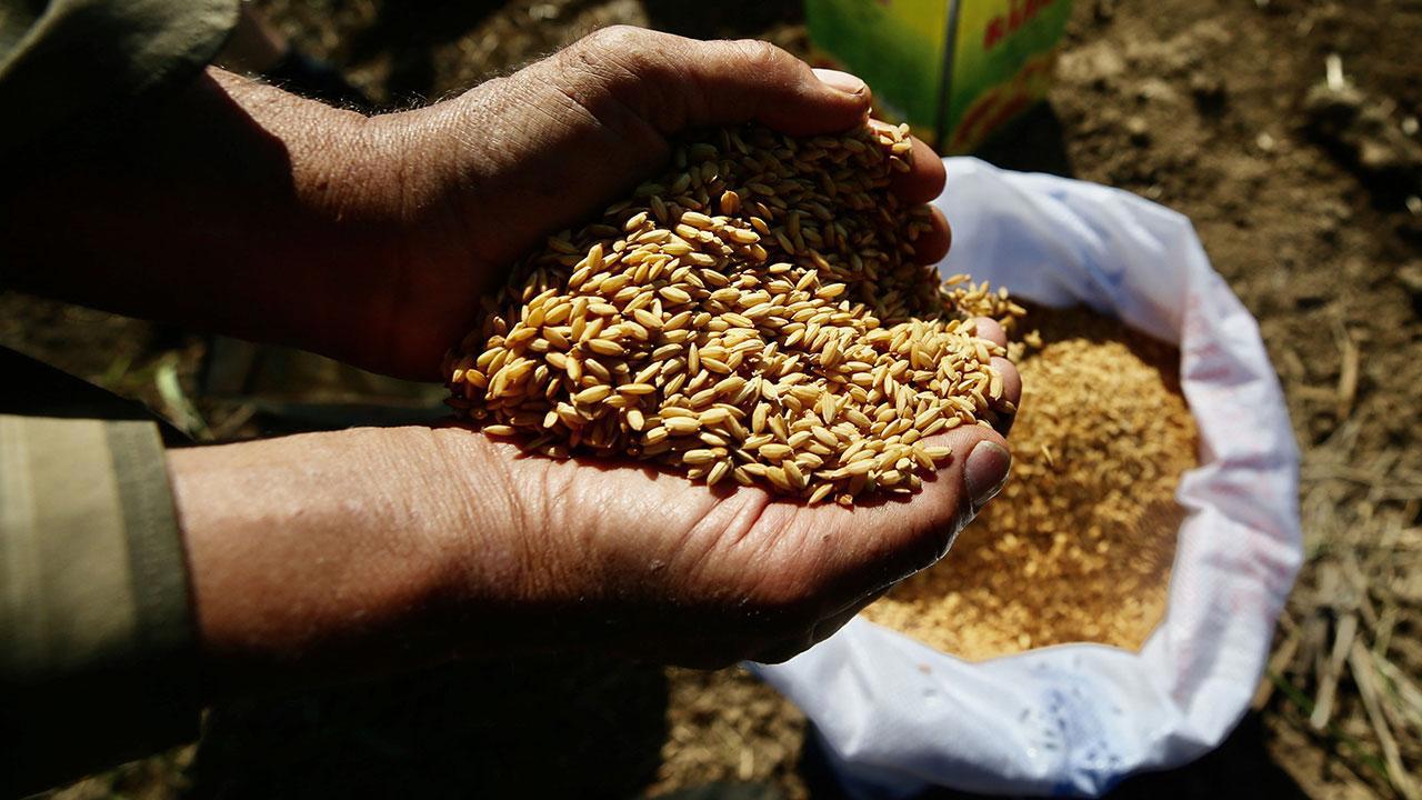 Ata Tohumları Tarım Kredi Marketlerinde Satışa Sunuluyor